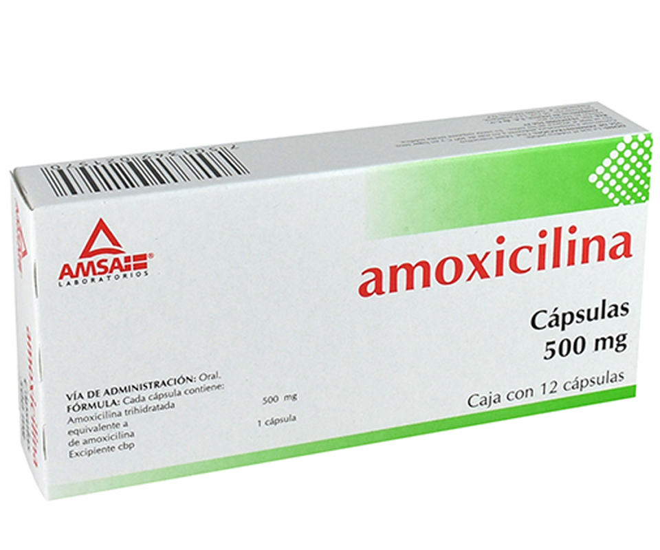 AMOXICILINA AMSA C12 CAPS
